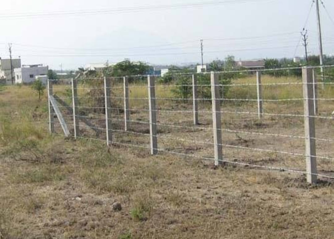 WhatsApp Image 2024-12-28 at 12.44.26