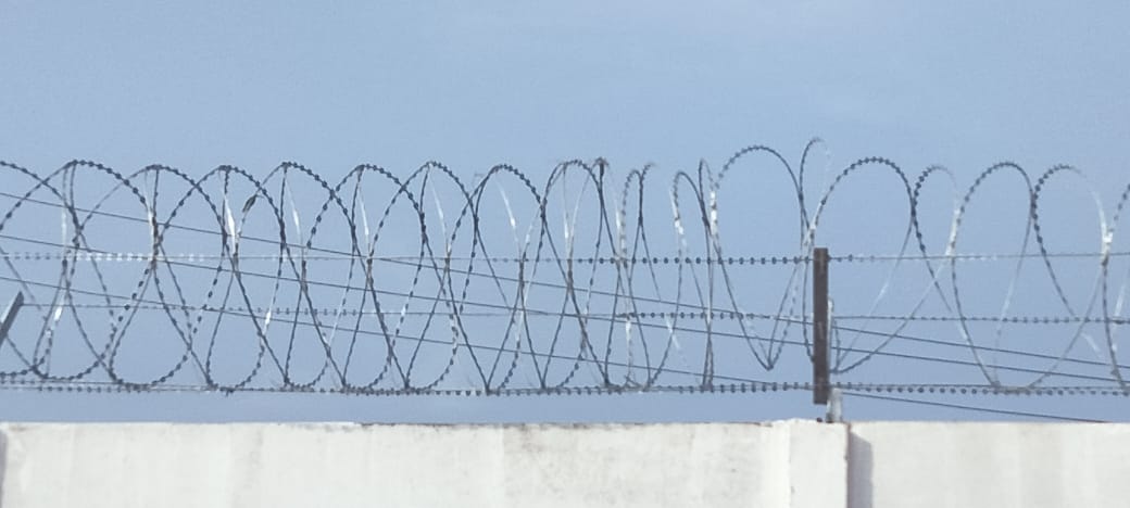 WhatsApp Image 2024-12-28 at 12.44.28