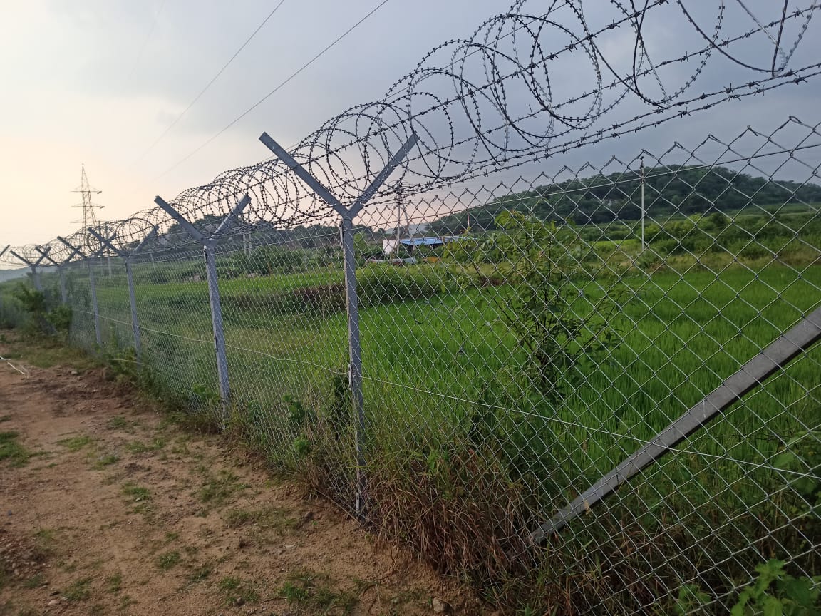 WhatsApp Image 2024-12-28 at 13.01.52